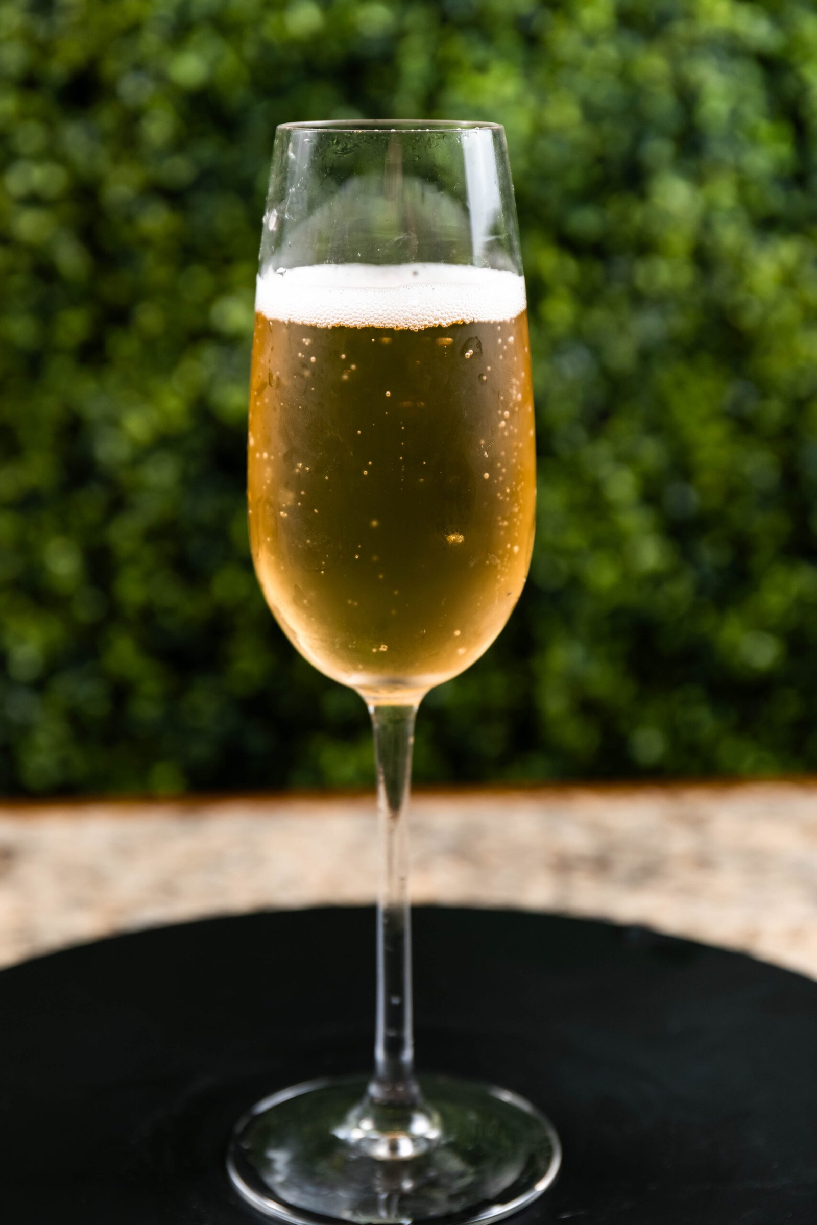 Champagne 1