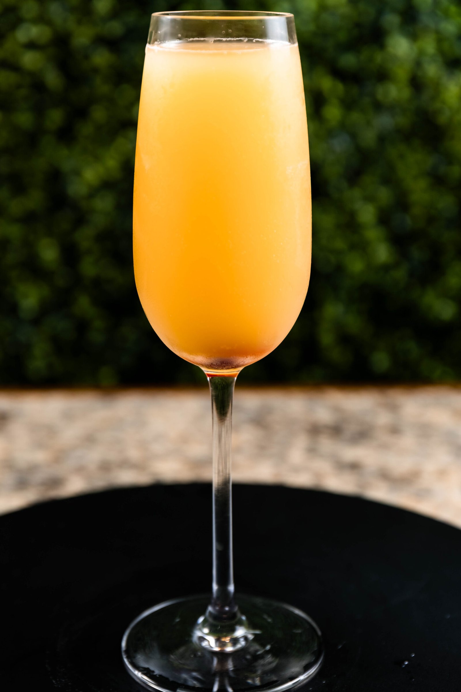 Mimosa